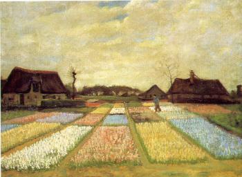 Vincent Van Gogh : Bulb field